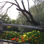 팜스테이 Il Mandorlo