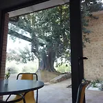 Il Mandorlo 팜스테이 *