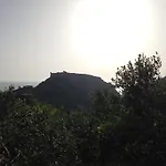 Il Mandorlo *