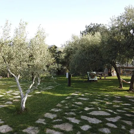 Il Mandorlo *