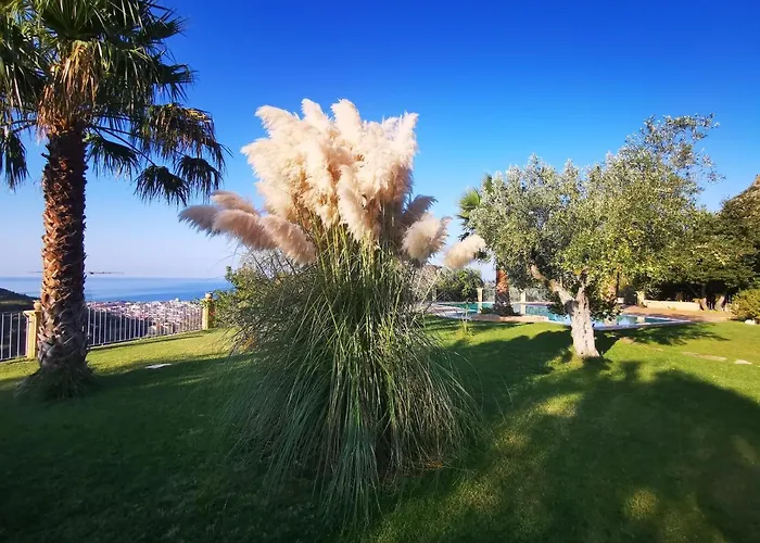 Alojamento de Turismo Rural Il Mandorlo