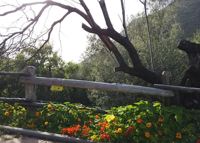 Alojamento de Turismo Rural Il Mandorlo