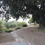 Il Mandorlo Feriegård Amantea