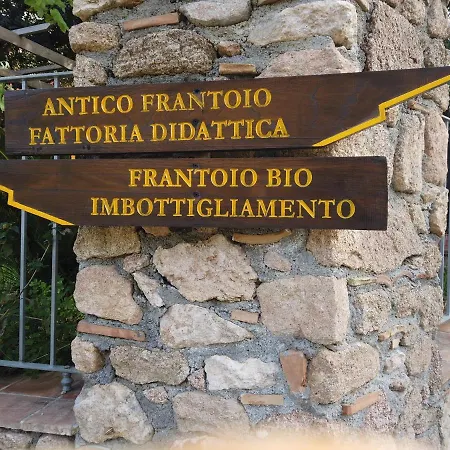 Il Mandorlo أمانتيا