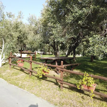 Il Mandorlo Farm stay *