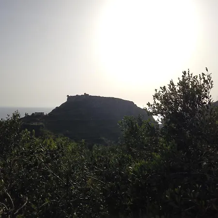 Il Mandorlo *