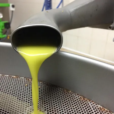 Il Mandorlo * Amantea