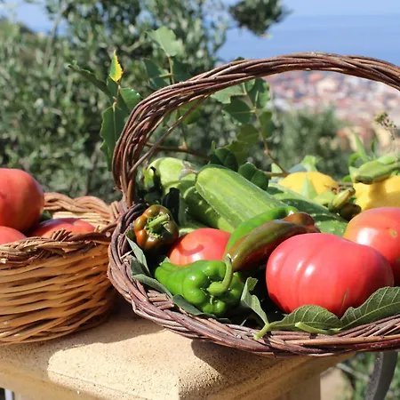 Alloggio per agriturismo Il Mandorlo *