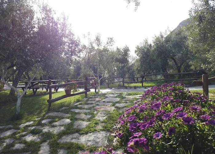 Alloggio per agriturismo Il Mandorlo