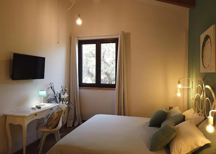 Il Mandorlo Alloggio per agriturismo Amantea