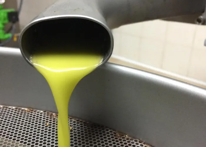 Il Mandorlo * Amantea